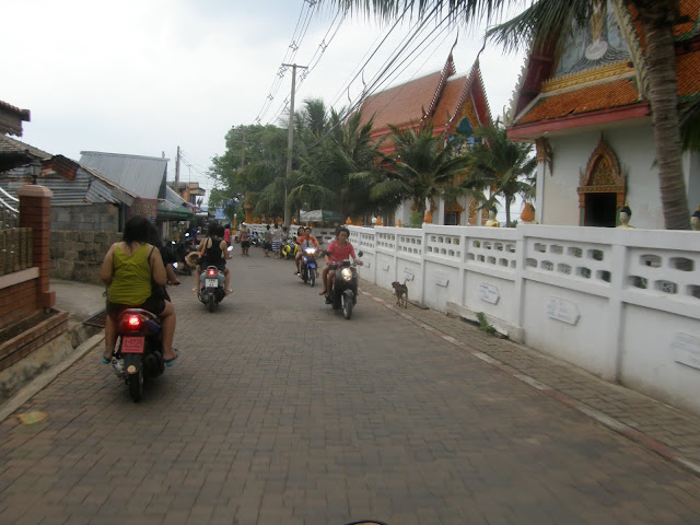 P4240986.JPG