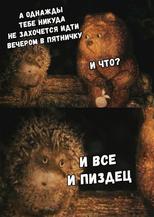 13012494.jpg