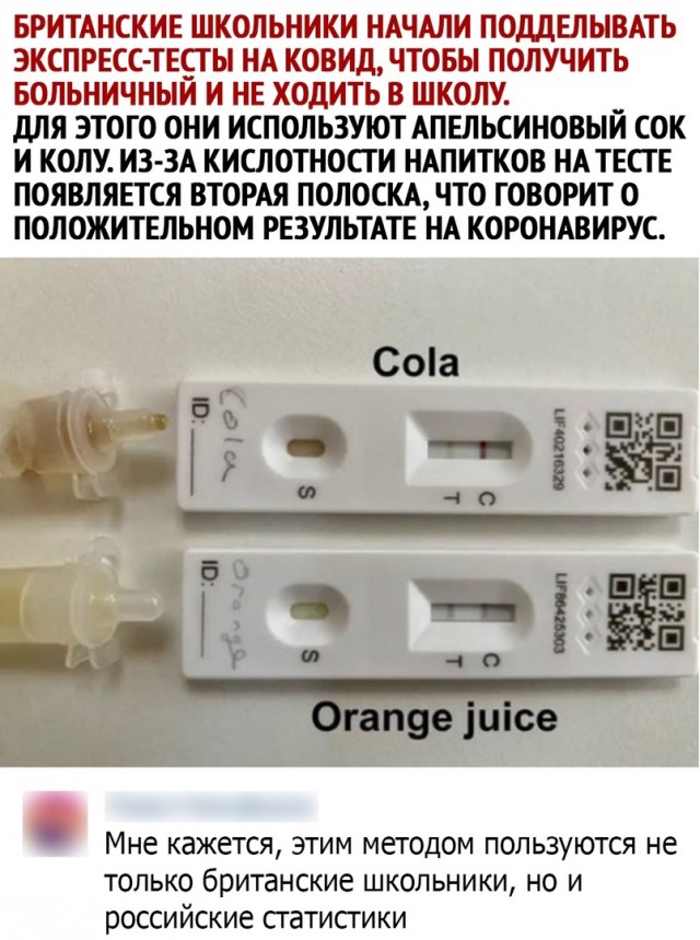 15727784.jpg