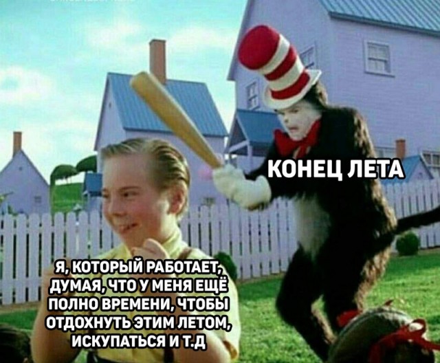 15781118.jpg