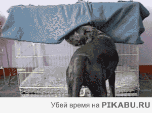 71553b.gif