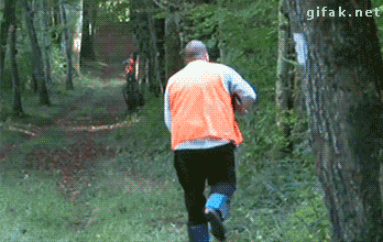 tumblr_neg75ayAct1s2yegdo1_400.gif