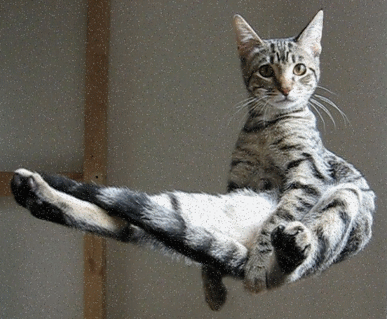 73788882_p6.gif