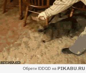 e3ae8f.gif