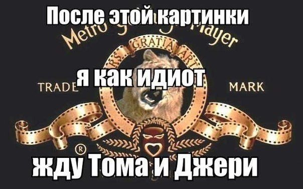 n4ZSTTCFH-Q.jpg