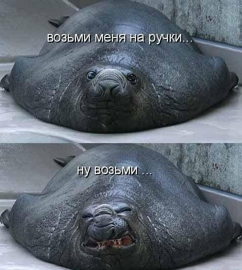 Ea1KTxClQgY.jpg