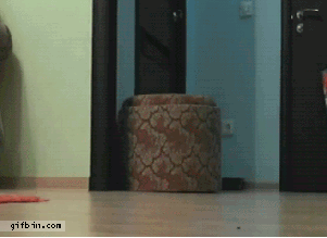 N0nPa.gif