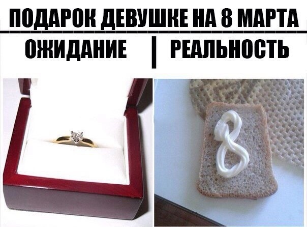 15280202.jpg