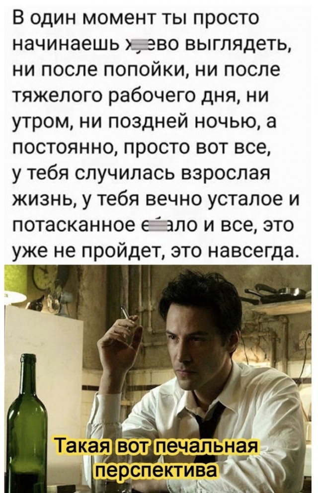 15802852.jpg