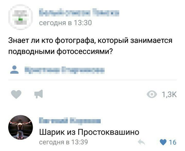 8Pl78Swtwlc.jpg