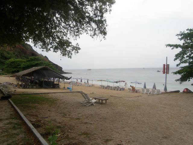 P4240995.JPG