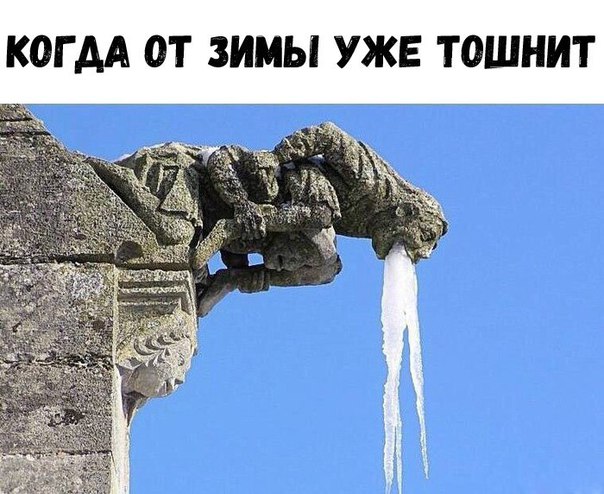 BEm6gljTuBs.jpg