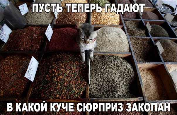 7QkvpNi5OD4.jpg
