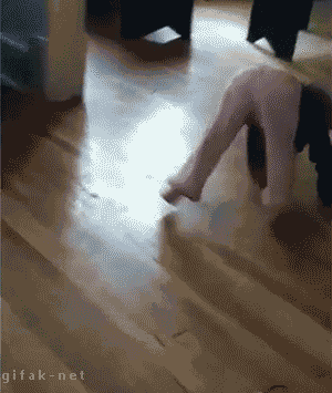 tumblr_n3jysaZY661s2yegdo1_400.gif