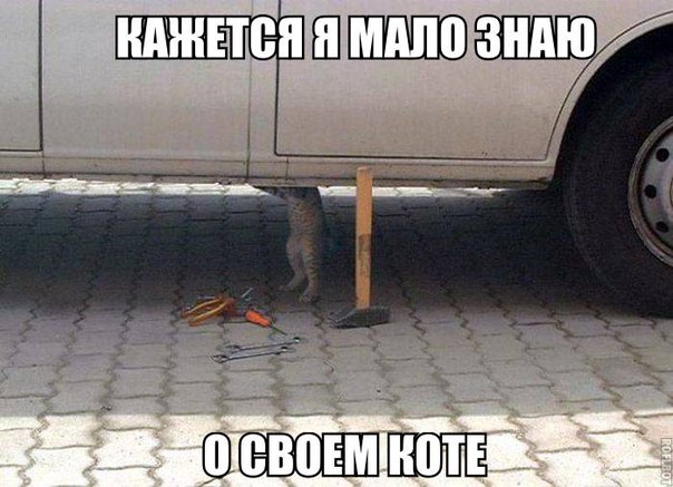 vUK3DMNTCwo.jpg