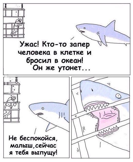 12808047.jpg