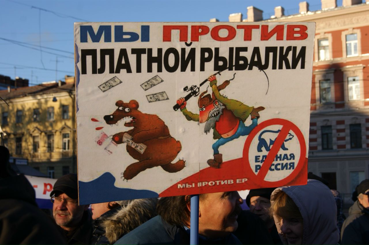 z_cc0275d8.jpg