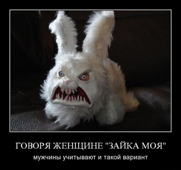 demotivatori_84.jpg