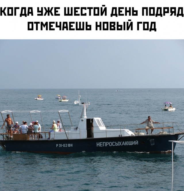 17572548.jpg