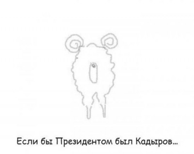 3417271.jpg