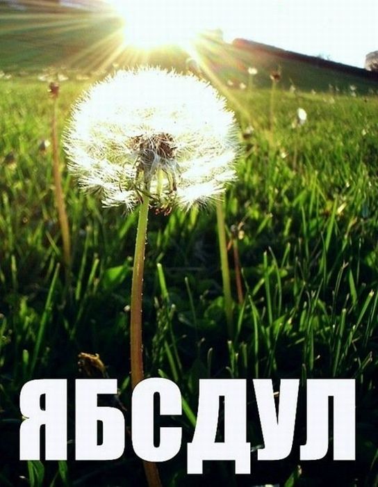 podborka_63.jpg