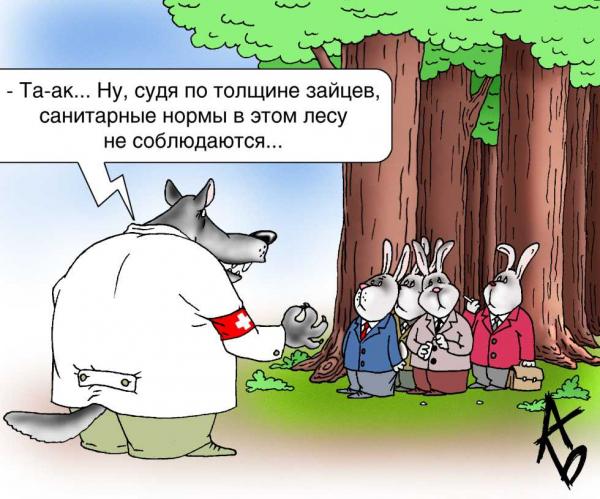 49.jpg