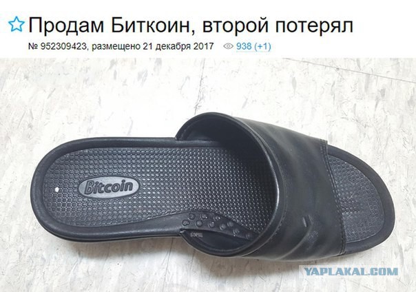 10918120.jpg