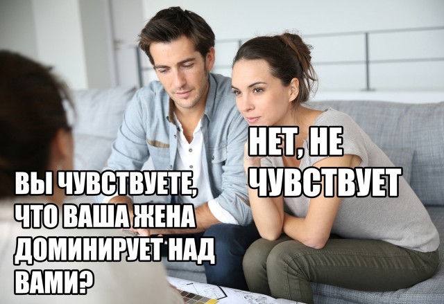 16445800.jpg