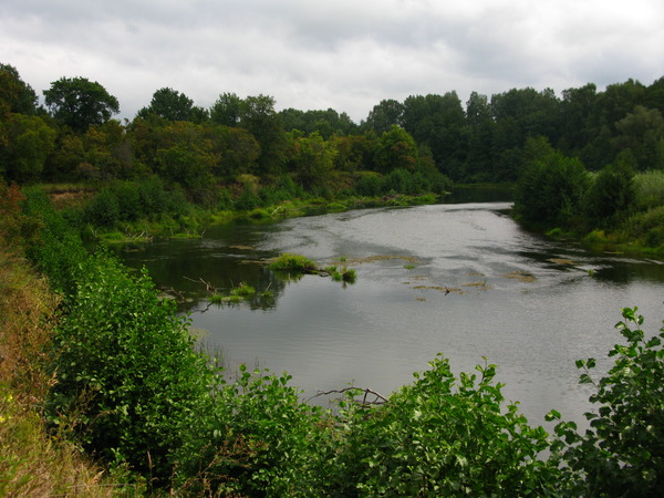 i-321.jpg