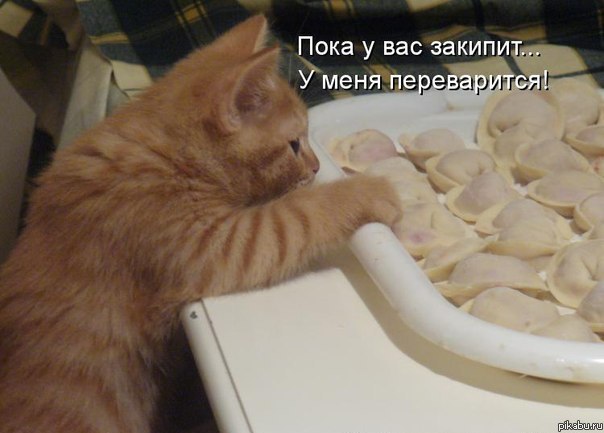 2f1.jpg