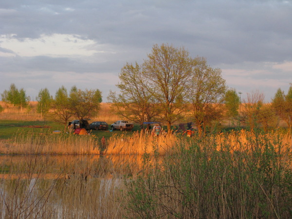 i-219.jpg