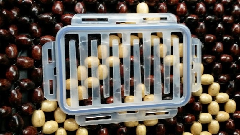 h-1357.jpg