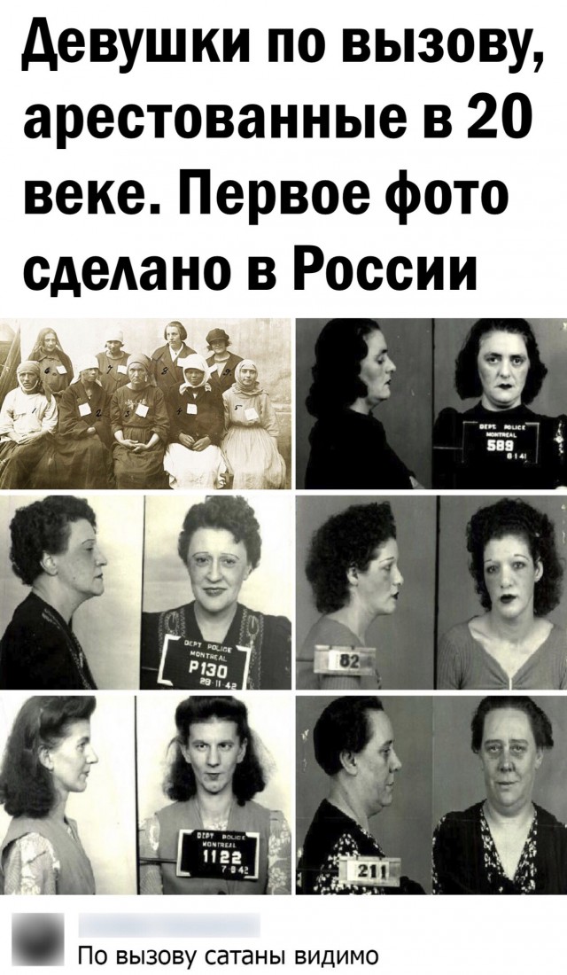 15272119.jpg