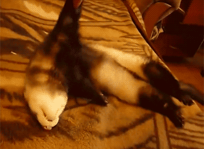 tumblr_neyx5udzfg1s2yegdo1_400.gif