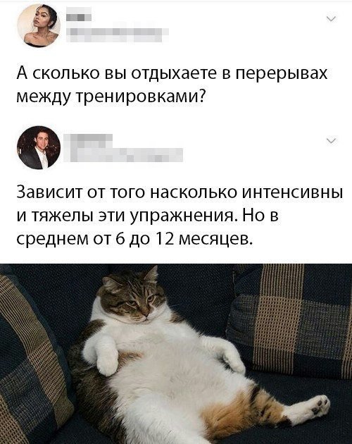 16078089.jpg