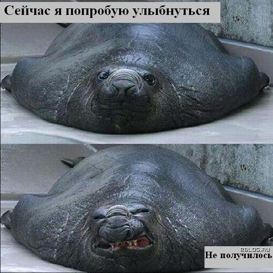 funpics18032009_34.jpg