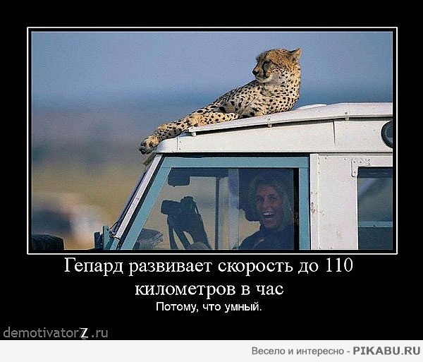 02fe07.jpg