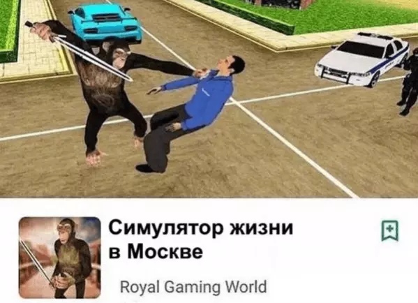 16234685.jpg
