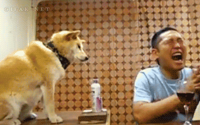 tumblr_n60h4l2IzH1s2yegdo1_400.gif