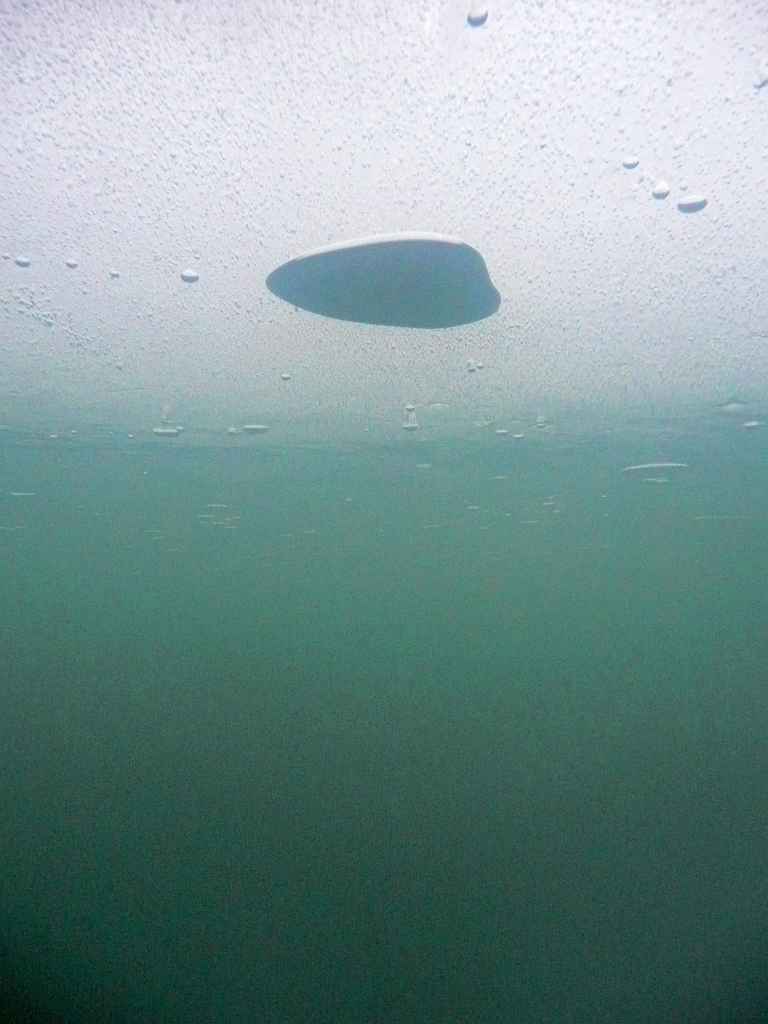 s-1239.JPG