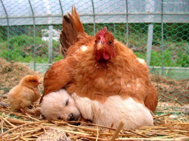 TDsonw1PIow.jpg
