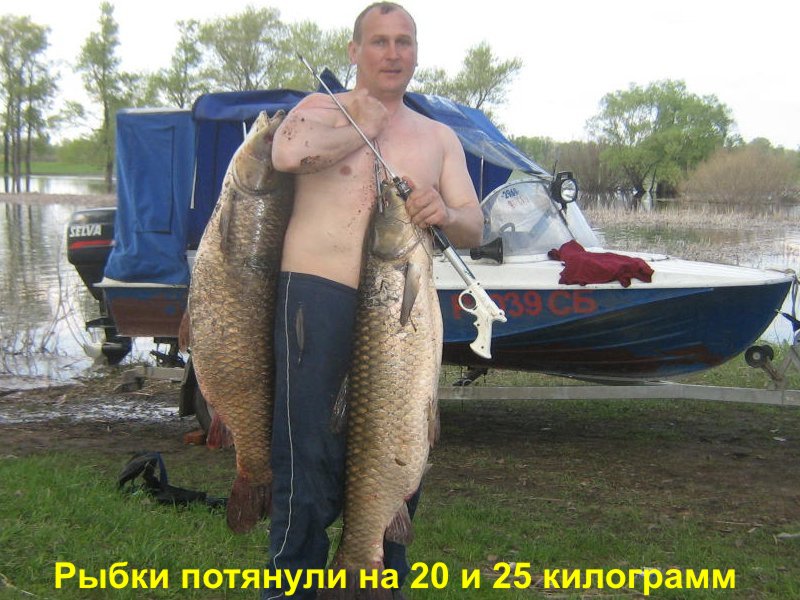 k08.jpg