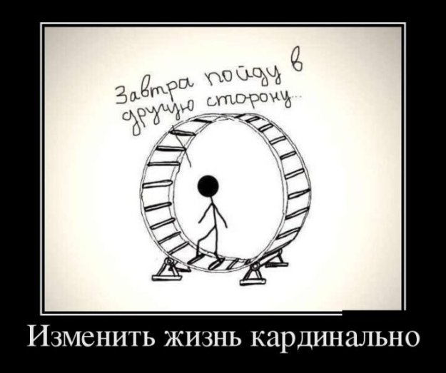 16450925.jpg