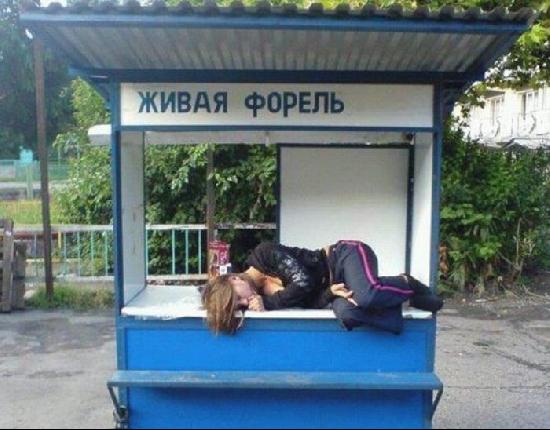 1198190518.jpg