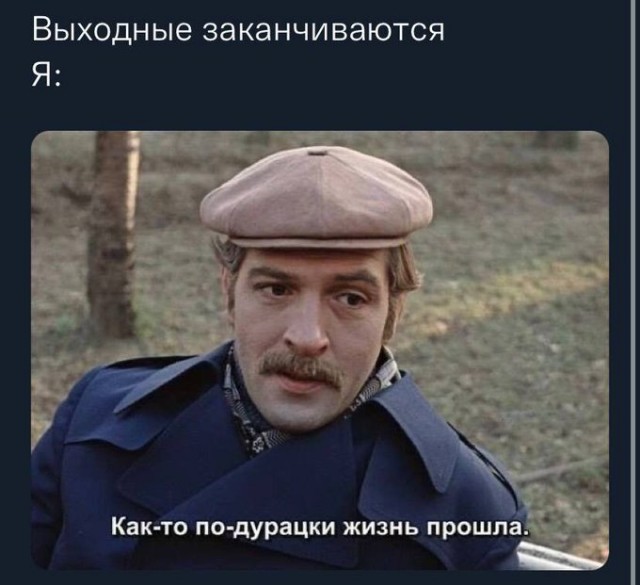 16471859.jpg