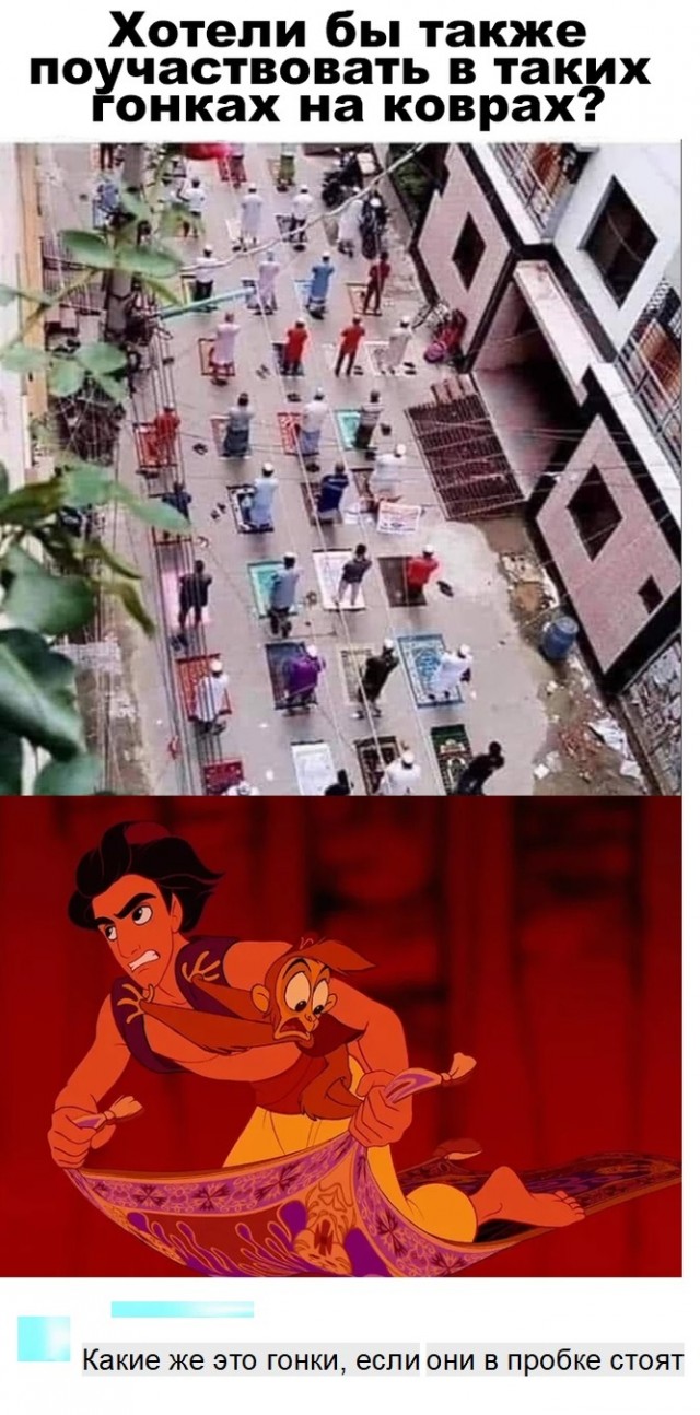 15372404.jpg