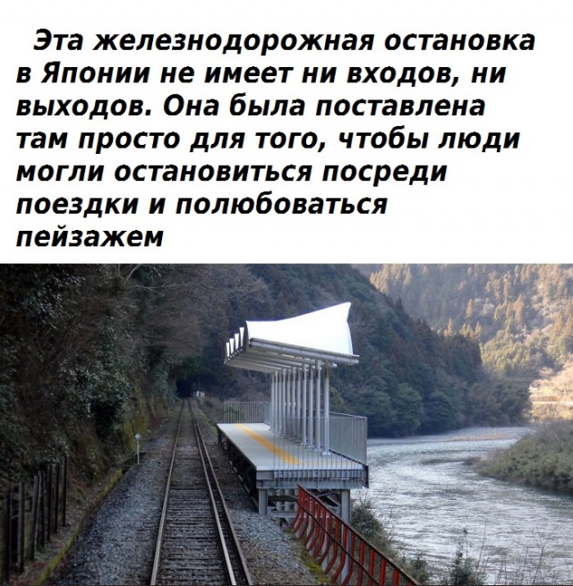 15664905.jpg