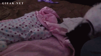 tumblr_n6s8gtuv8M1s2yegdo1_400.gif