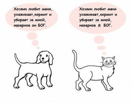 SQtK0xy2G_8.jpg