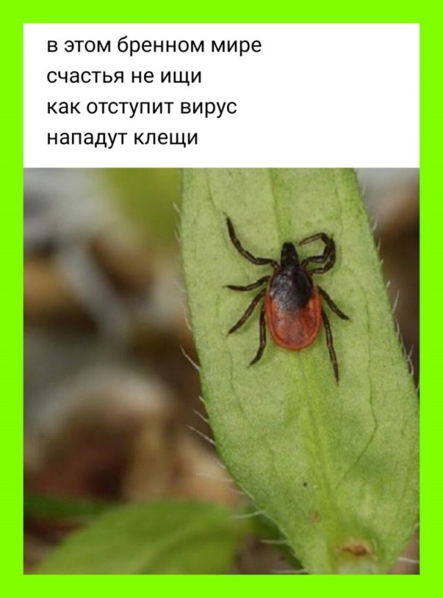 15499058.jpg